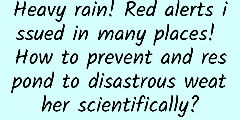 Heavy rain! Red alerts issued in many places! How to prevent and respond to disastrous weather scientifically?