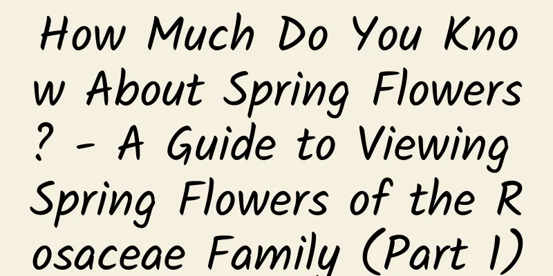 How Much Do You Know About Spring Flowers? - A Guide to Viewing Spring Flowers of the Rosaceae Family (Part 1)