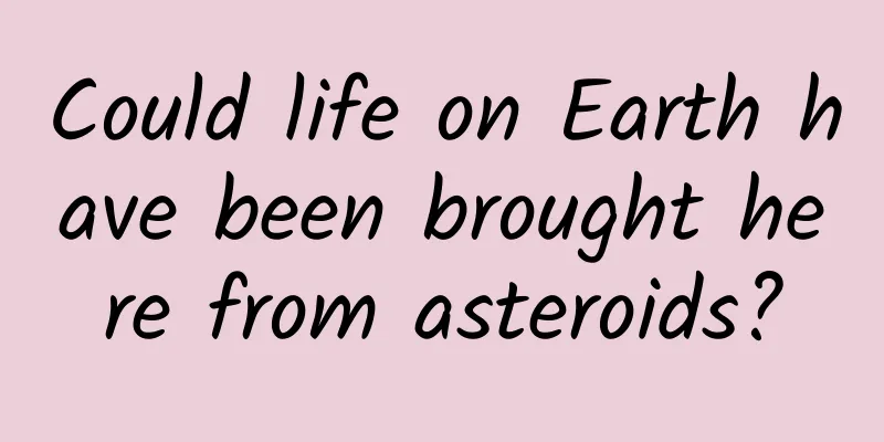 Could life on Earth have been brought here from asteroids?