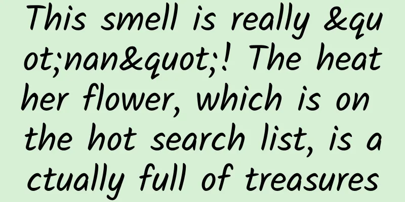 This smell is really "nan"! The heather flower, which is on the hot search list, is actually full of treasures