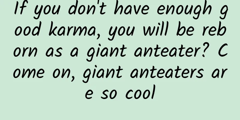 If you don't have enough good karma, you will be reborn as a giant anteater? Come on, giant anteaters are so cool
