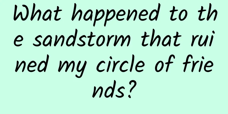 What happened to the sandstorm that ruined my circle of friends?