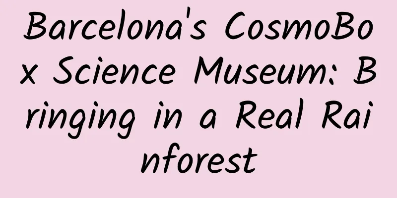 Barcelona's CosmoBox Science Museum: Bringing in a Real Rainforest