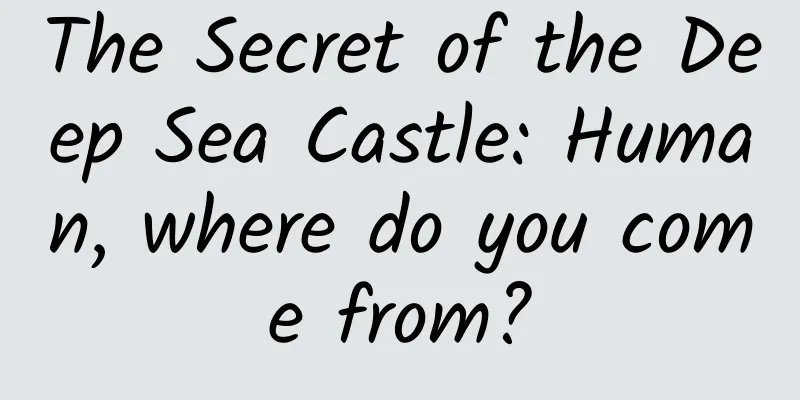 The Secret of the Deep Sea Castle: Human, where do you come from?