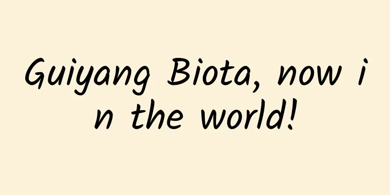 Guiyang Biota, now in the world!