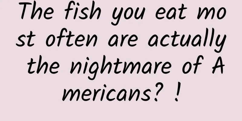 The fish you eat most often are actually the nightmare of Americans? !