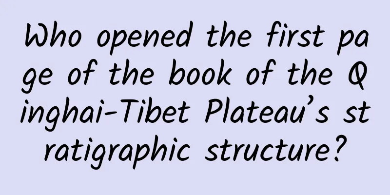 Who opened the first page of the book of the Qinghai-Tibet Plateau’s stratigraphic structure?