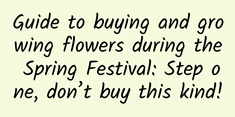 Guide to buying and growing flowers during the Spring Festival: Step one, don’t buy this kind!