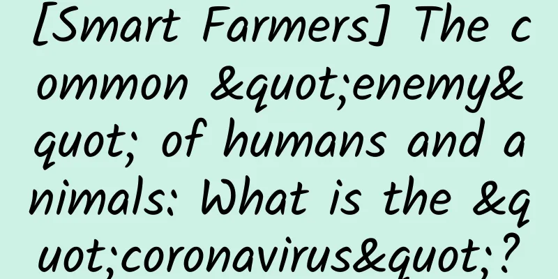 [Smart Farmers] The common "enemy" of humans and animals: What is the "coronavirus"?