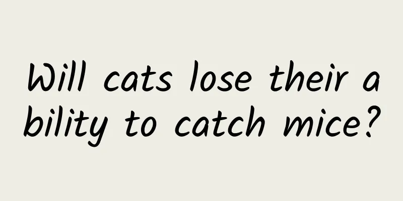 Will cats lose their ability to catch mice?