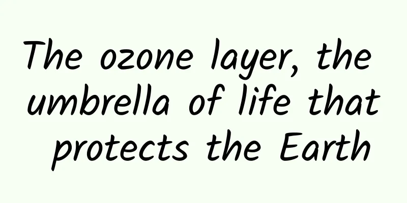 The ozone layer, the umbrella of life that protects the Earth