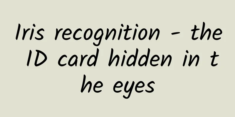 Iris recognition - the ID card hidden in the eyes