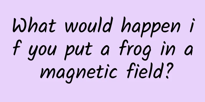 What would happen if you put a frog in a magnetic field?