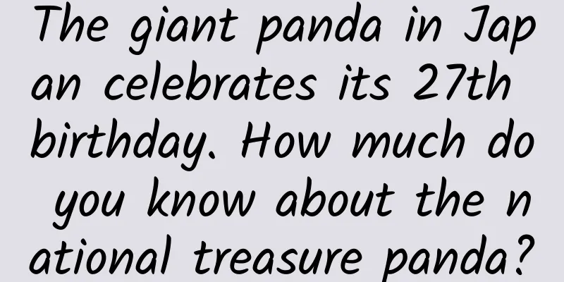 The giant panda in Japan celebrates its 27th birthday. How much do you know about the national treasure panda?