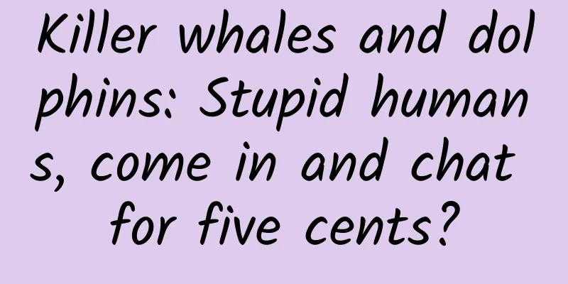 Killer whales and dolphins: Stupid humans, come in and chat for five cents?