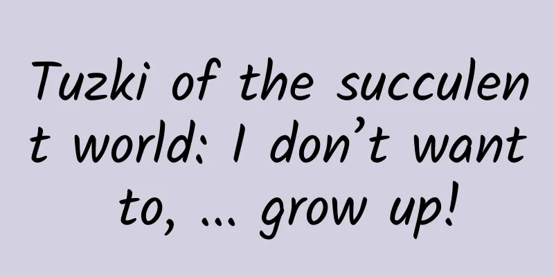 Tuzki of the succulent world: I don’t want to, ... grow up!