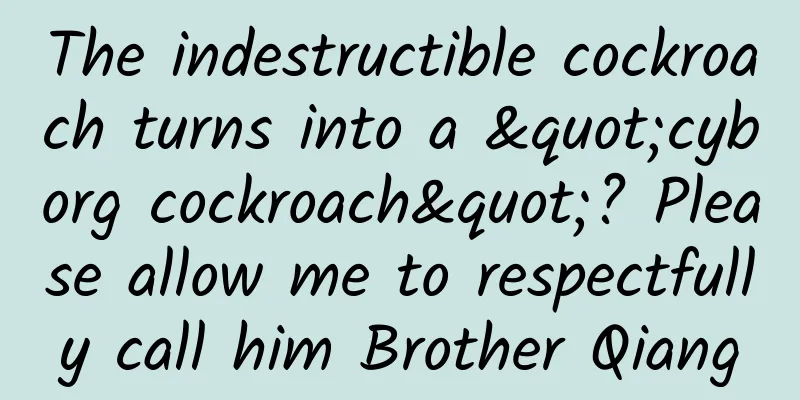 The indestructible cockroach turns into a "cyborg cockroach"? Please allow me to respectfully call him Brother Qiang