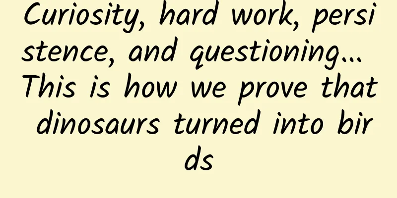 Curiosity, hard work, persistence, and questioning... This is how we prove that dinosaurs turned into birds