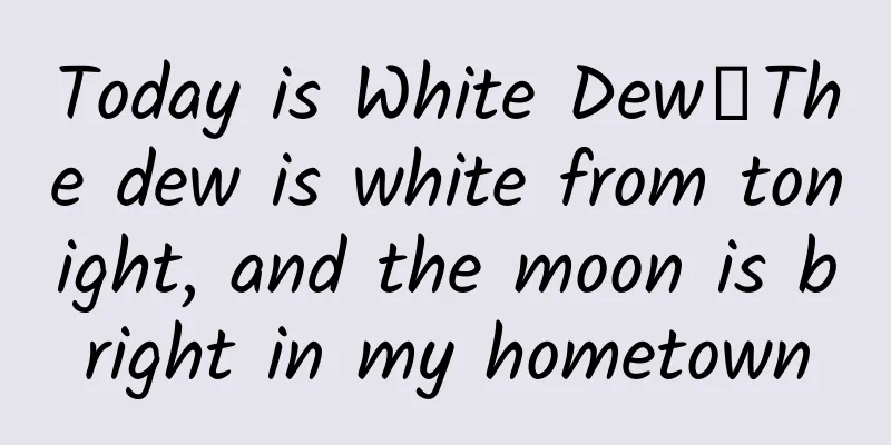 Today is White Dew丨The dew is white from tonight, and the moon is bright in my hometown