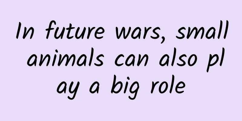 In future wars, small animals can also play a big role
