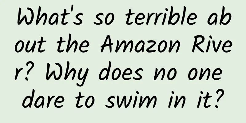 What's so terrible about the Amazon River? Why does no one dare to swim in it?