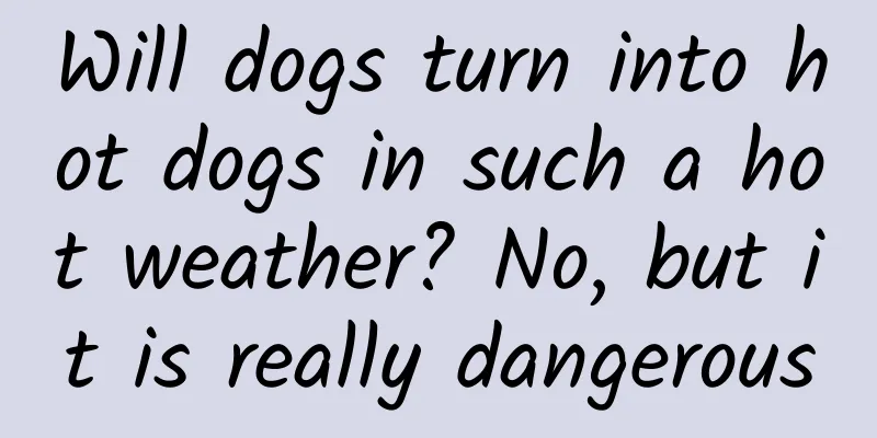 Will dogs turn into hot dogs in such a hot weather? No, but it is really dangerous