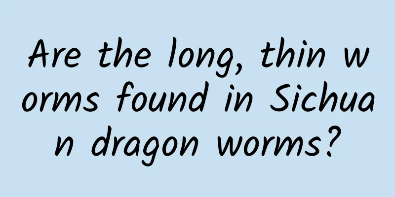 Are the long, thin worms found in Sichuan dragon worms?