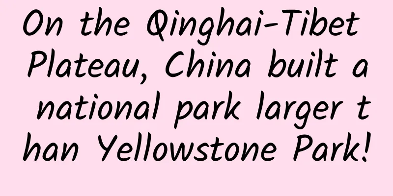 On the Qinghai-Tibet Plateau, China built a national park larger than Yellowstone Park!