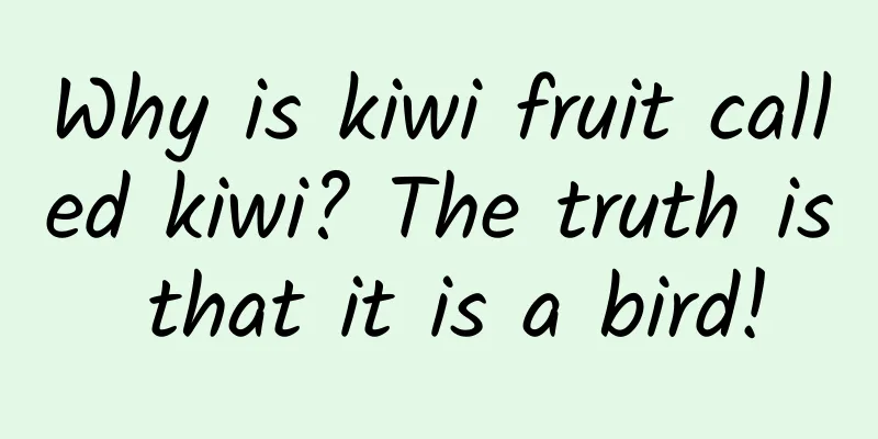 Why is kiwi fruit called kiwi? The truth is that it is a bird!