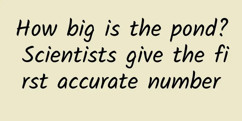 How big is the pond? Scientists give the first accurate number