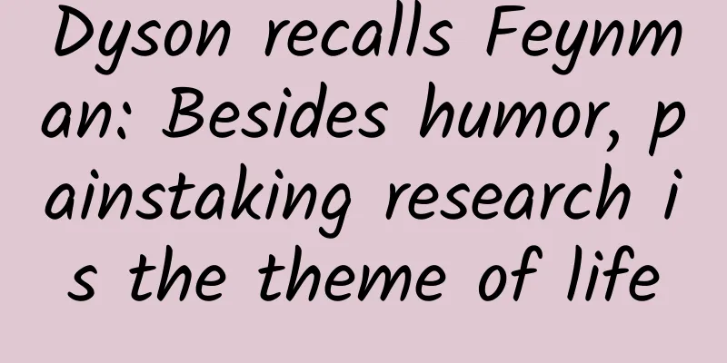 Dyson recalls Feynman: Besides humor, painstaking research is the theme of life