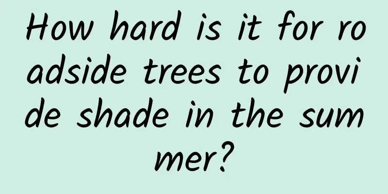 How hard is it for roadside trees to provide shade in the summer?