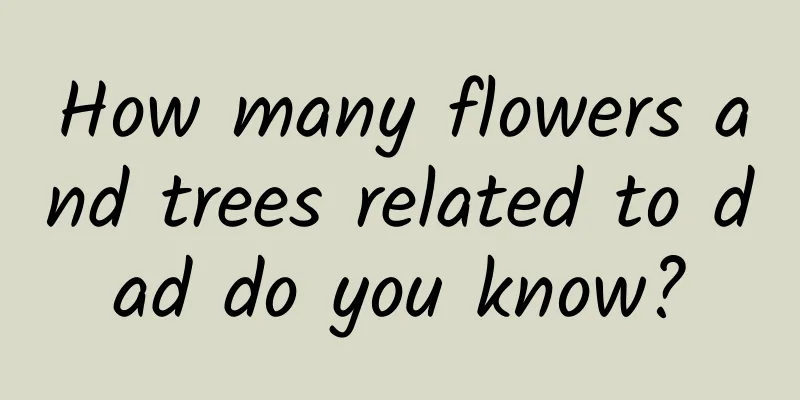 How many flowers and trees related to dad do you know?