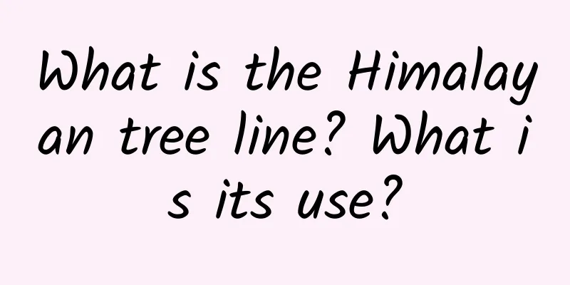 What is the Himalayan tree line? What is its use?