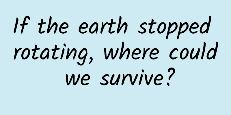 If the earth stopped rotating, where could we survive?