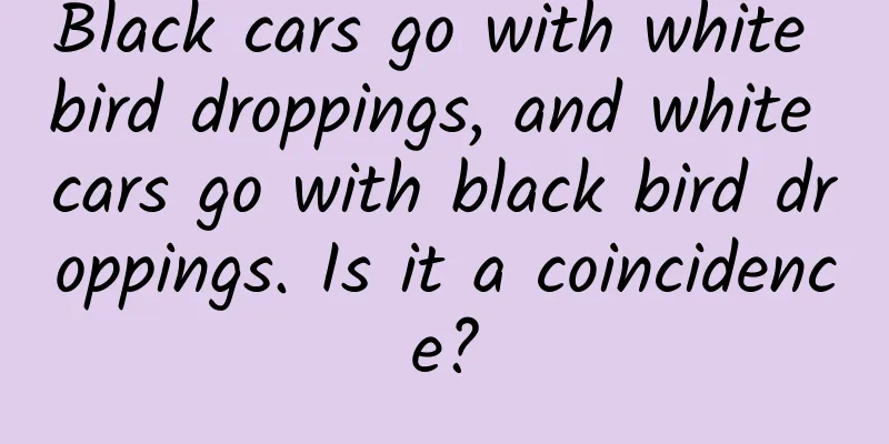 Black cars go with white bird droppings, and white cars go with black bird droppings. Is it a coincidence?