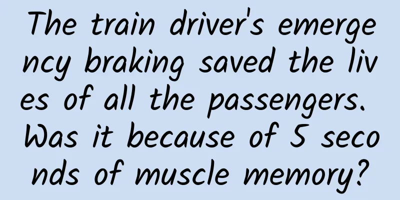 The train driver's emergency braking saved the lives of all the passengers. Was it because of 5 seconds of muscle memory?