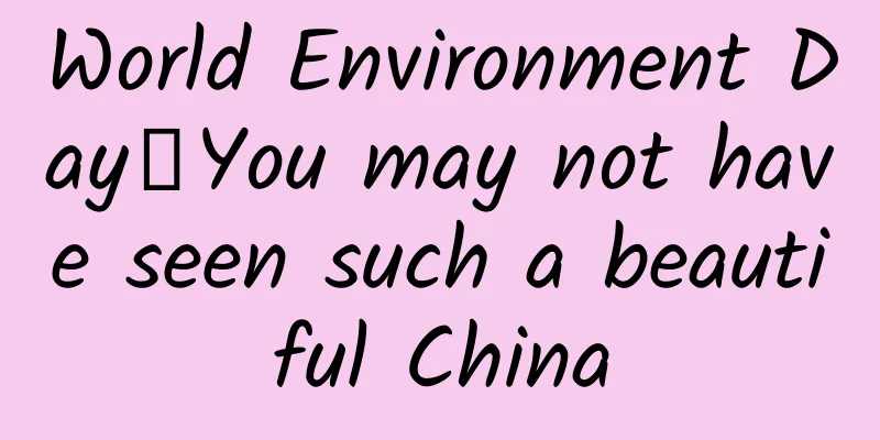 World Environment Day丨You may not have seen such a beautiful China