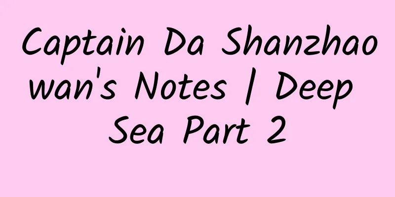 Captain Da Shanzhaowan's Notes | Deep Sea Part 2