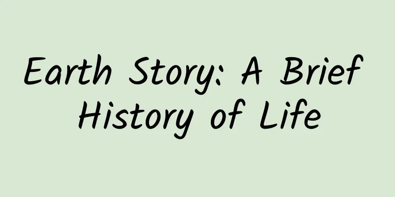 Earth Story: A Brief History of Life