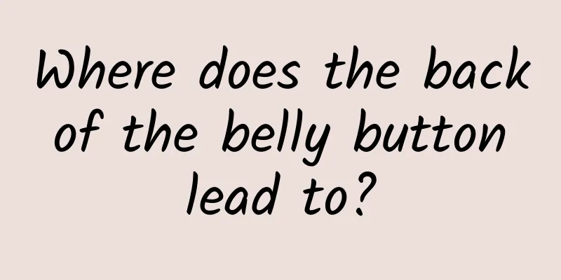 Where does the back of the belly button lead to?