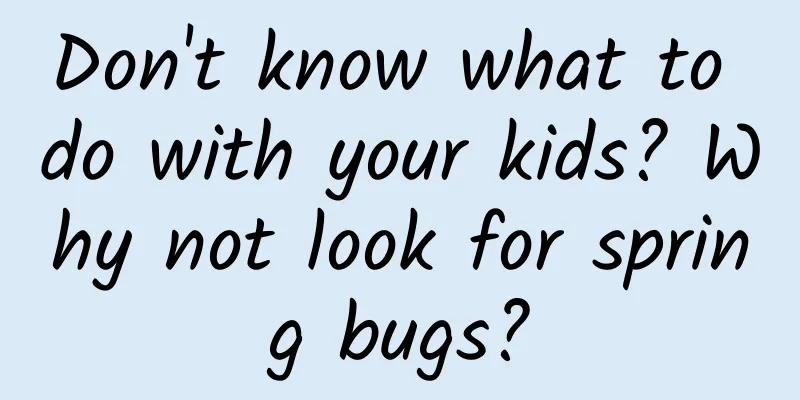Don't know what to do with your kids? Why not look for spring bugs?