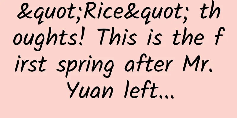 "Rice" thoughts! This is the first spring after Mr. Yuan left...