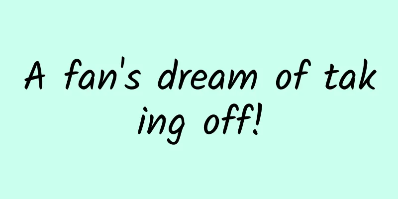 A fan's dream of taking off!