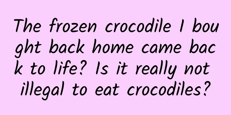 The frozen crocodile I bought back home came back to life? Is it really not illegal to eat crocodiles?