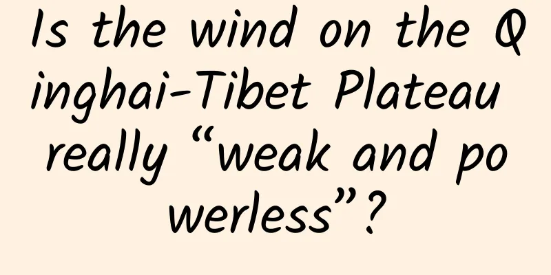 Is the wind on the Qinghai-Tibet Plateau really “weak and powerless”?