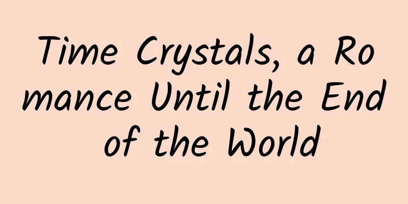 Time Crystals, a Romance Until the End of the World