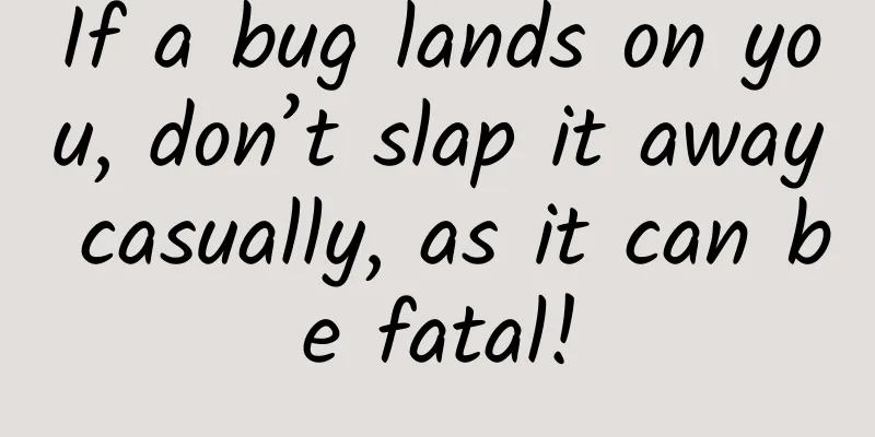 If a bug lands on you, don’t slap it away casually, as it can be fatal!