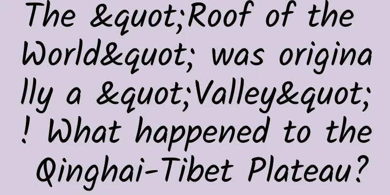 The "Roof of the World" was originally a "Valley"! What happened to the Qinghai-Tibet Plateau?