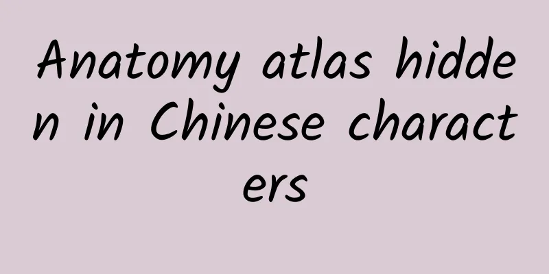 Anatomy atlas hidden in Chinese characters